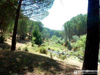 Puentes romanos Valle del Tiétar; rutas senderismo madrid;viajes agosto;excursiones organizadas des